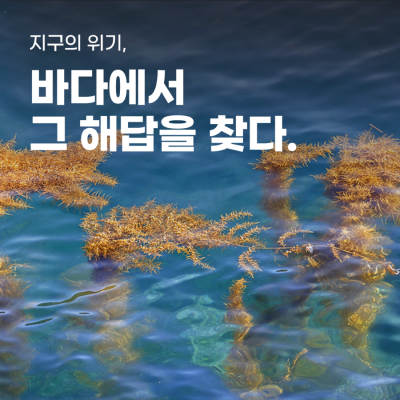 1월_차완영_마린이노베이션.png