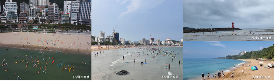 사진 1_국내 주요 해수욕장의 서핑활동 전경.png