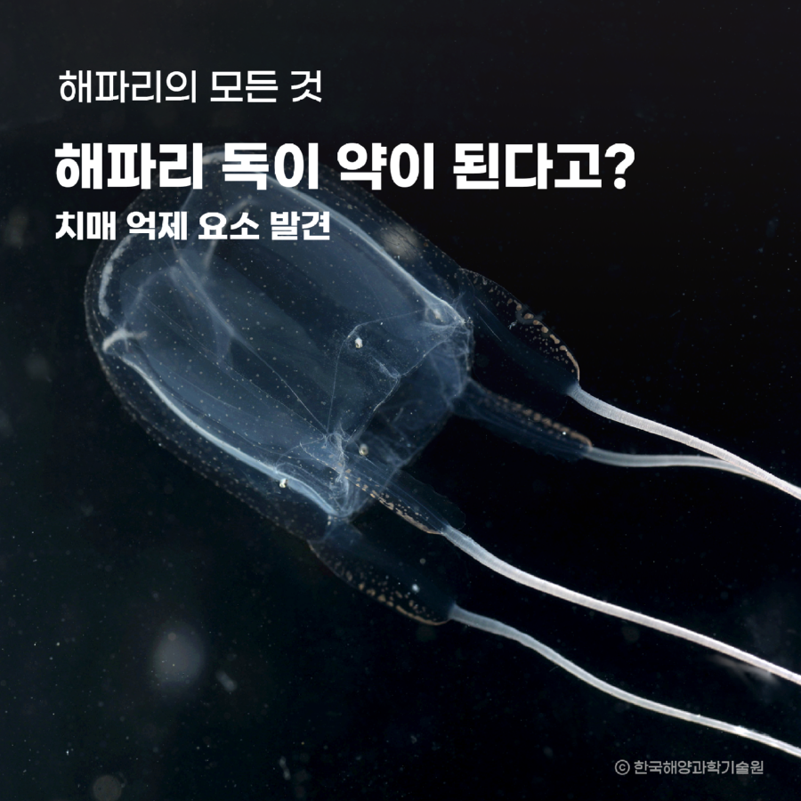 8월_염승식_썸네일.png