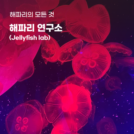 8월_아쿠아리움_썸네일.png