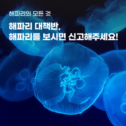 8월_김경연_썸네일_수정1.png