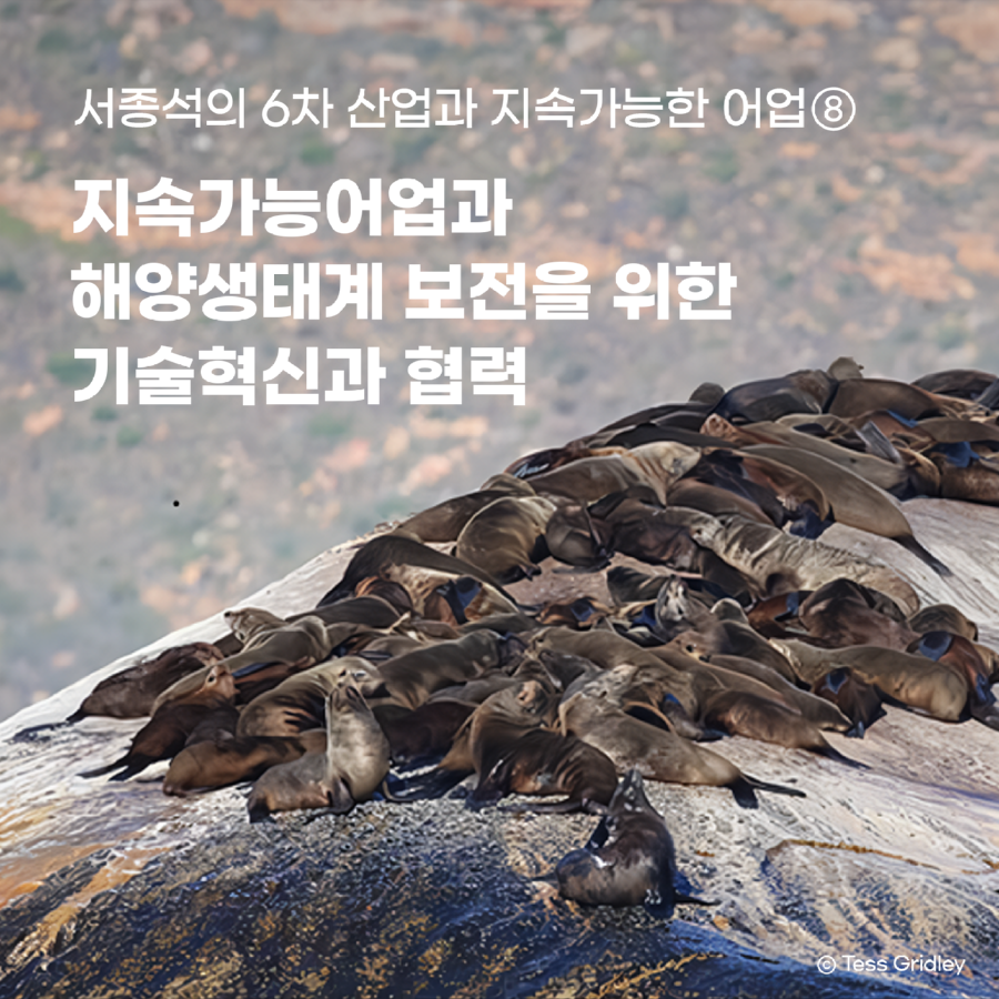 12월_서종석_썸네일1.png