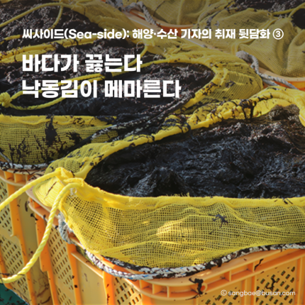 12월_이상배_썸네일1.png