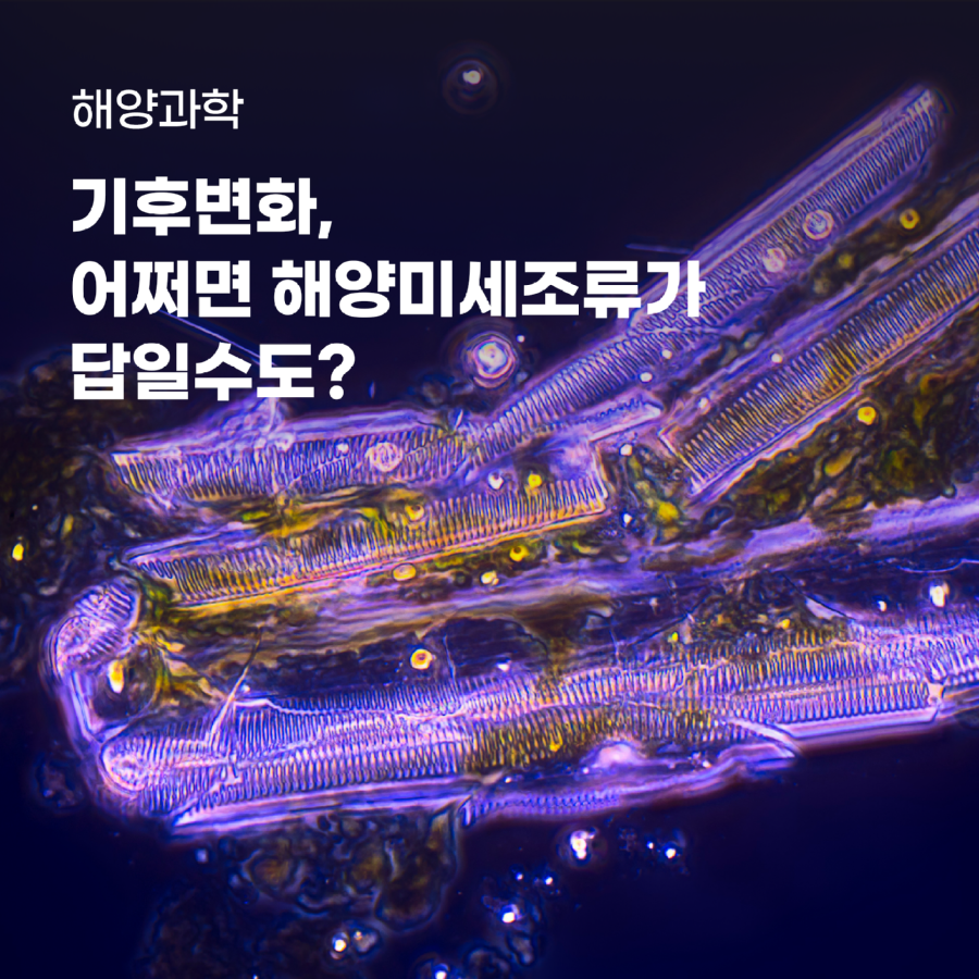 5월_신현호_썸네일3.png