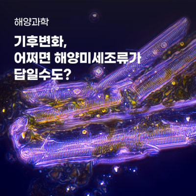 5월_신현호_썸네일3.png