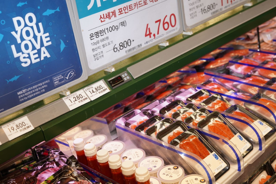 서종석1.png