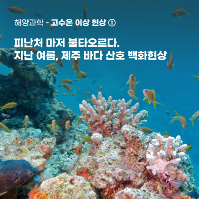 8월_신주희_썸네일1.png