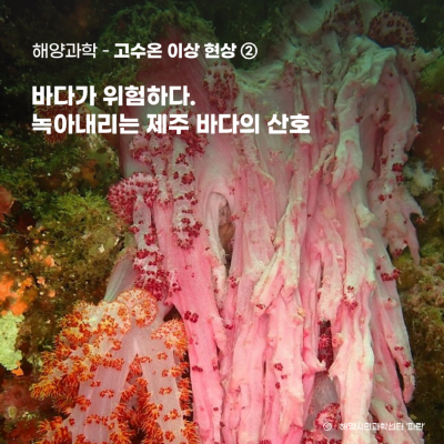 9월_신주희_썸네일1.png