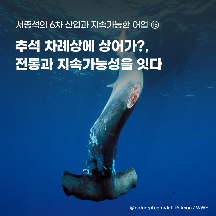 10월_서종석_썸네일_제목수정.jpg