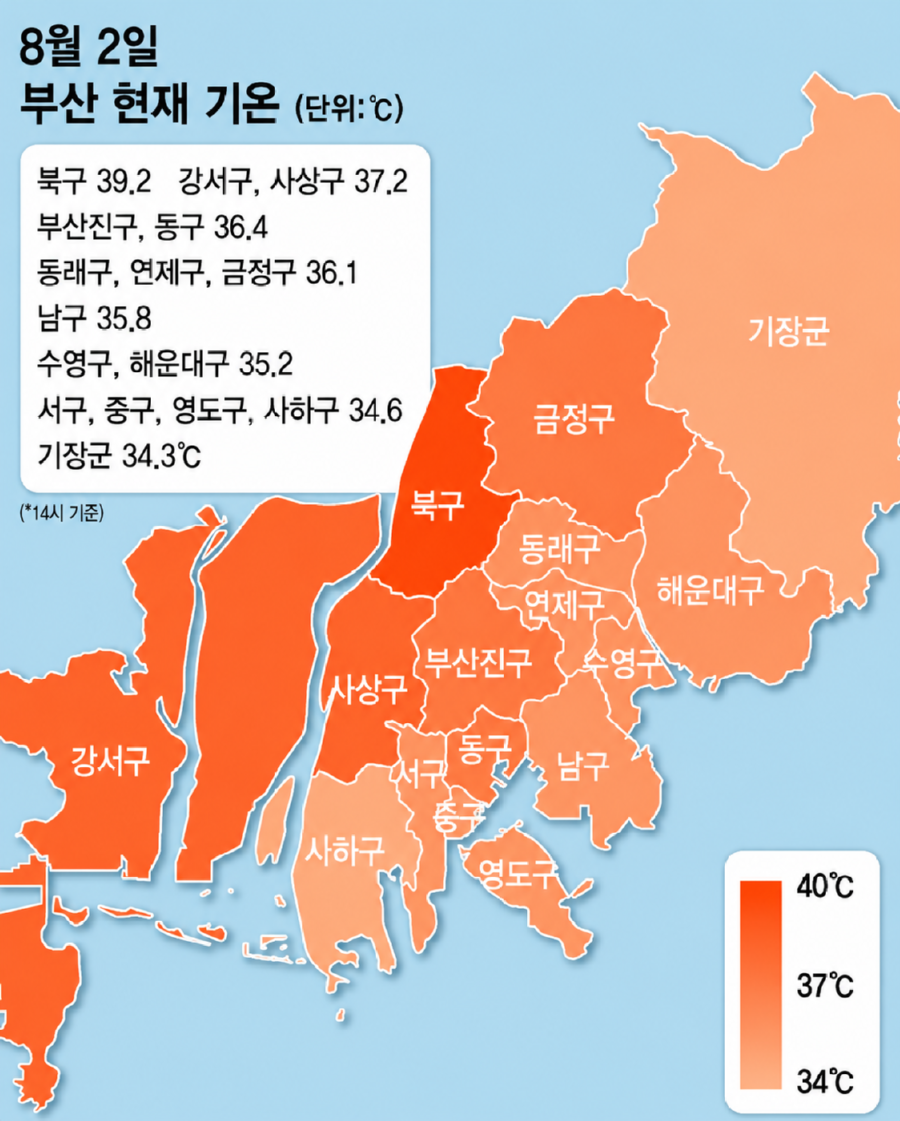 ChatGPT Image 2026년 8월 24일 오후 08_29_40.png